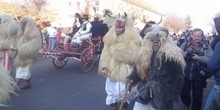 Mikor, hol busózzunk? Íme a mohácsi programok teljes listája, napról napra