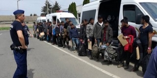 Negyvenhárom migránst tartóztattak fel a határvédők Kölked és Kislippó térségében