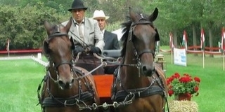 Pompás fogatokat, felkészült hajtókat láthatunk szombaton Mohácson