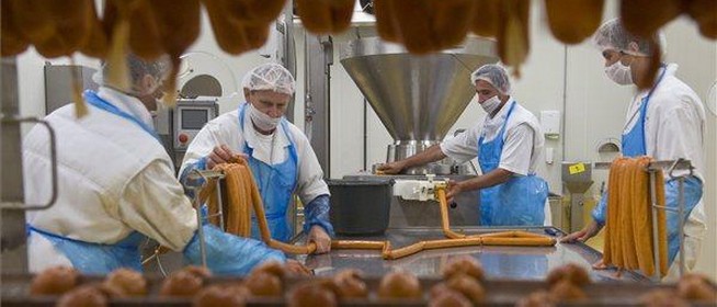 Egyre több fiatal dolgozik a mohácsi vágóhídon, két iskolában is képeznek henteseket Egyre több fiatal dolgozik a mohácsi vágóhídon, két iskolában is képeznek henteseket