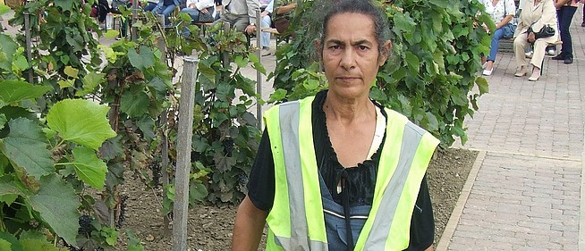 Kitüntették minden mohácsi ismeretlen ismerősét, a virágok nagy barátját, Czigler Józsefnét Kitüntették minden mohácsi ismeretlen ismerősét, a virágok nagy barátját, Czigler Józsefnét