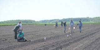 Megtalálták Majs határában a mohácsi csata által érintett település maradványait