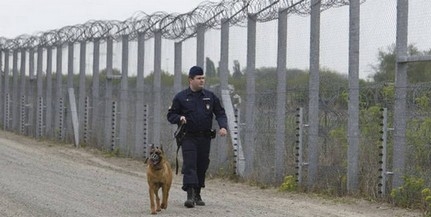 Tizenhét migránst fogtak a határvédők Homorúdon