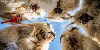 Csúcskísérlet Mohácson: megdöntenék a kólózás világrekordját az idei busójáráson