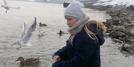 Sirályok harca: óriásit csatáznak nap mint nap a mohácsi kikötőben a vadkacsákkal Sirályok harca: óriásit csatáznak nap mint nap a mohácsi kikötőben a vadkacsákkal