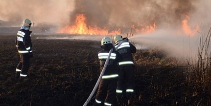 Lángoltak a Riha-tó nádasai, a fűzerdők elérése előtt sikerült megfékezni a tüzet