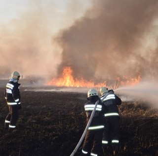 Lángoltak a Riha-tó nádasai, a fűzerdők elérése előtt sikerült megfékezni a tüzet Lángoltak a Riha-tó nádasai, a fűzerdők elérése előtt sikerült megfékezni a tüzet