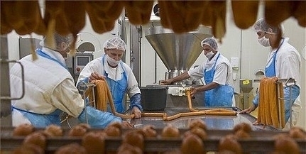 Egymilliós sertést vágtak le tavaly a mohácsi vágóhídon, új termékeket is piacra dobtak