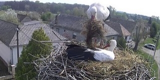 Frissítik az országos madárvédelmi térképet