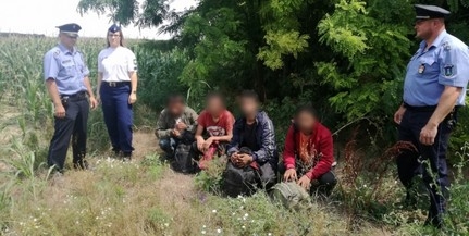 Bóly térségében tartóztattak fel négy külföldit a rendőrök