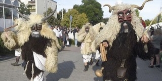 Nyáron is teszik a dolgukat a busók - A Summerfesten mutatják be tudományukat