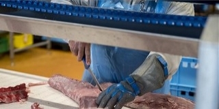 Alaposan átrendezte a mohácsi vágóhídon előállított hús piacát a sertéspestis