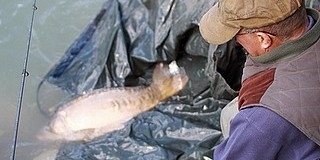 Horgászni, sportolni ezen a hétvégén is lehet a mohácsi Duna-parton