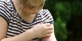 A héten Mohácsnál is megkezdik a szúnyoglárvák pusztítását a katasztrófavédők