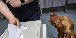 Kettő és fél hónap múlva választ Mohács, döntött az időpontról a választási bizottság Kettő és fél hónap múlva választ Mohács, döntött az időpontról a választási bizottság