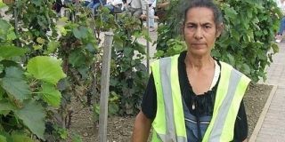 Elhunyt minden mohácsi ismeretlen ismerőse, a virágok nagy barátja, Czigler Józsefné Elhunyt minden mohácsi ismeretlen ismerőse, a virágok nagy barátja, Czigler Józsefné