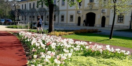 Virágba borult a város - Egy új, csodálatos látványt nyújtó közparkkal is gyarapodott Mohács