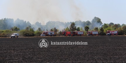 Negyven tűzoltó oltotta a lángokat Pécs határában