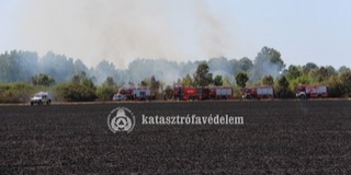 Negyven tűzoltó oltotta a lángokat Pécs határában