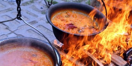 Nemcsak az időjárás, a hangulat is tűzforró volt Mohácson, a Dunamenti Halfesztiválon