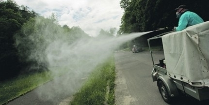 A héten Mohácson és környékén is biológiai eljárással pusztítják a szúnyoglárvákat
