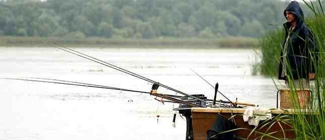 Idegen horgászok számára megközelíthetetlen a Duna-part Mohácson és környékén - Olvasói levél