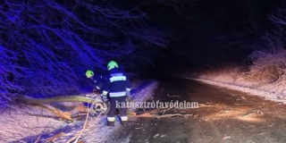 Két fa is kidőlt Lánycsók és Kisnyárád között az útra Két fa is kidőlt Lánycsók és Kisnyárád között az útra
