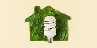 Miért érdemes zöld otthonban gondolkodni?