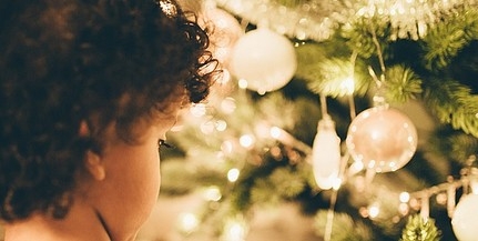 Keresik Mohács karácsonyfáját, a Deák téren varázsol majd ünnepi hangulatot