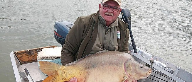 Hatalmas, huszonkét kilogrammos pontyot fogott egy horgász Mohácsnál!