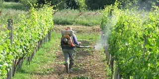 A földhivatalban ettől kezdve az erdők kivételével minden termőföld regisztráltatása kötelező