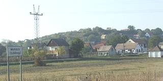 Megkezdik a Szőlőhegyen a villamosenergia-elosztóhálózatok mentén a nyomvonaltisztítást