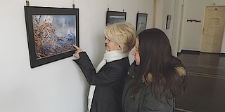 Horvátországi fotósok képei a Városháza Galériában