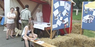 Kevesebb önkormányzati támogatást egy szervezet sem kapott az előző évinél
