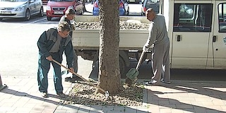 Folytatódik a belváros szépítése: a fák környékét teszik rendbe az idegenforgalmi szezon előtt