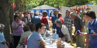 Mohácson még kíváncsiak egymásra az emberek - Hétszázan vettek részt a civil ünnepen