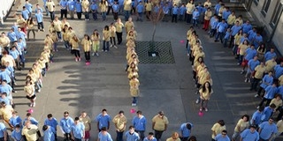 Mohácson rendezik a tanulásban akadályozott diákok országos tanulmányi versenyét