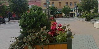 A rózsákon, évelőkön kívül közel kilencezer virágtő díszíti idén a város utcáit, parkjait