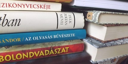 Műszaki okok miatt ma Mohácson nem nyit ki a Városi Könyvtár