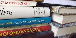 Műszaki okok miatt ma Mohácson nem nyit ki a Városi Könyvtár