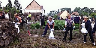 Dunaszekcsőt épített védmű nem, csak a most készülő homokzsákos gát védi az árvíztől