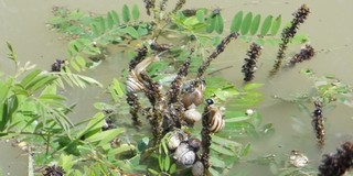 Mohácson nincs mitől félni - Szekó József speciális bejáráson mérte fel az árvízi helyzetet