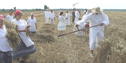 Aratónap hetedszer a Mohácsi Polgárok Olvasókörével