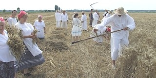 Aratónap hetedszer a Mohácsi Polgárok Olvasókörével