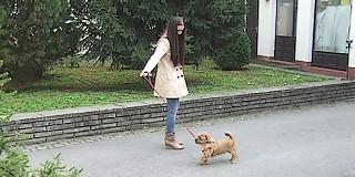 Október 5-étől 20-áig tart Mohácson az ebzárlat