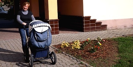 Városszépítő munkák Mohácson: új és megújított virágszigetek, s új fák tucatjai a közterületeken Városszépítő munkák Mohácson: új és megújított virágszigetek, s új fák tucatjai a közterületeken