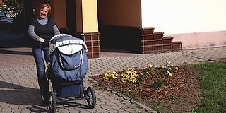 Városszépítő munkák Mohácson: új és megújított virágszigetek, s új fák tucatjai a közterületeken