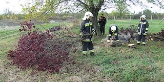 Zajlik a munkaterület előkészítése, napokon belül építeni kezdik a mohácsi biofűtőművet