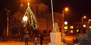 Mohácson a Széchenyi téren immár hatodik éve nem kivágott fenyő a város karácsonyfája