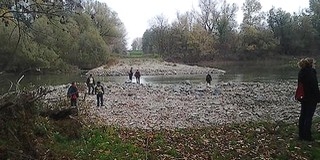 Újjáéledt a Szabadság-sziget, a zátonyköz a Dunától már nem elzárt, feltöltődött terület